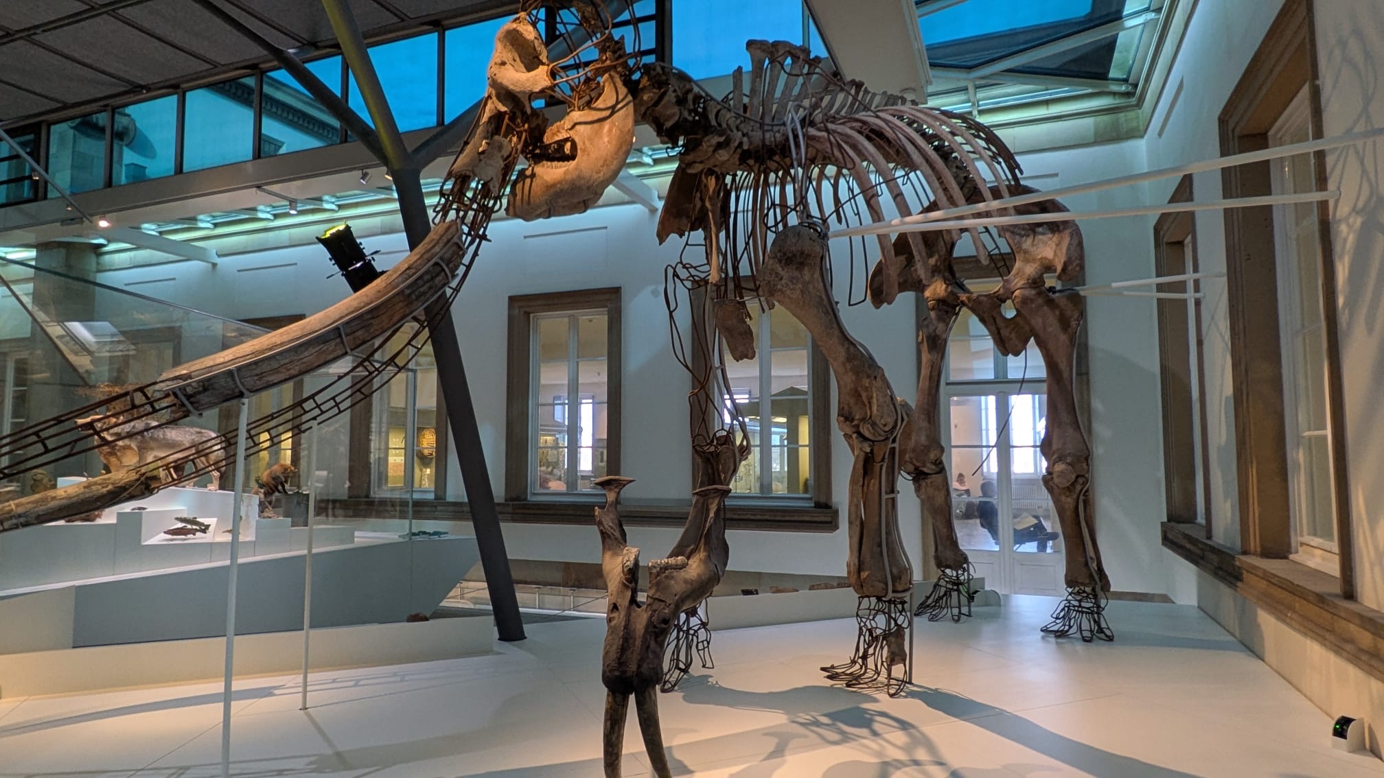 260114_NF_Naturkundemuseum Rosenstein_SDannecker_04.jpg